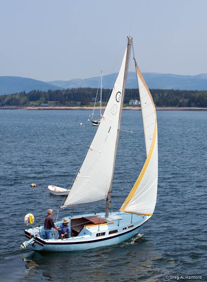 The Cal 25 foot Sceptre Sailboat Rental