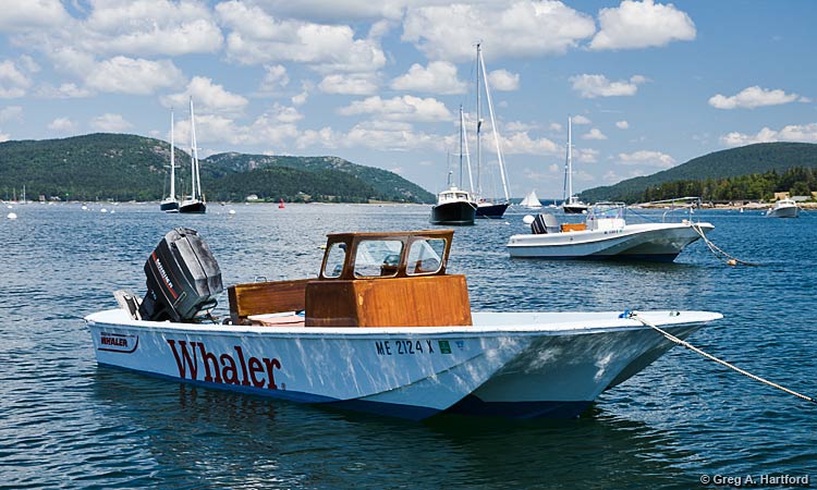 The 17 foot Boston Whaler Motorboat Rental at Mansell Boats Rental Company