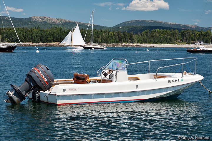 The 19 foot Boston Whaler Outrage Motorboat Rental
