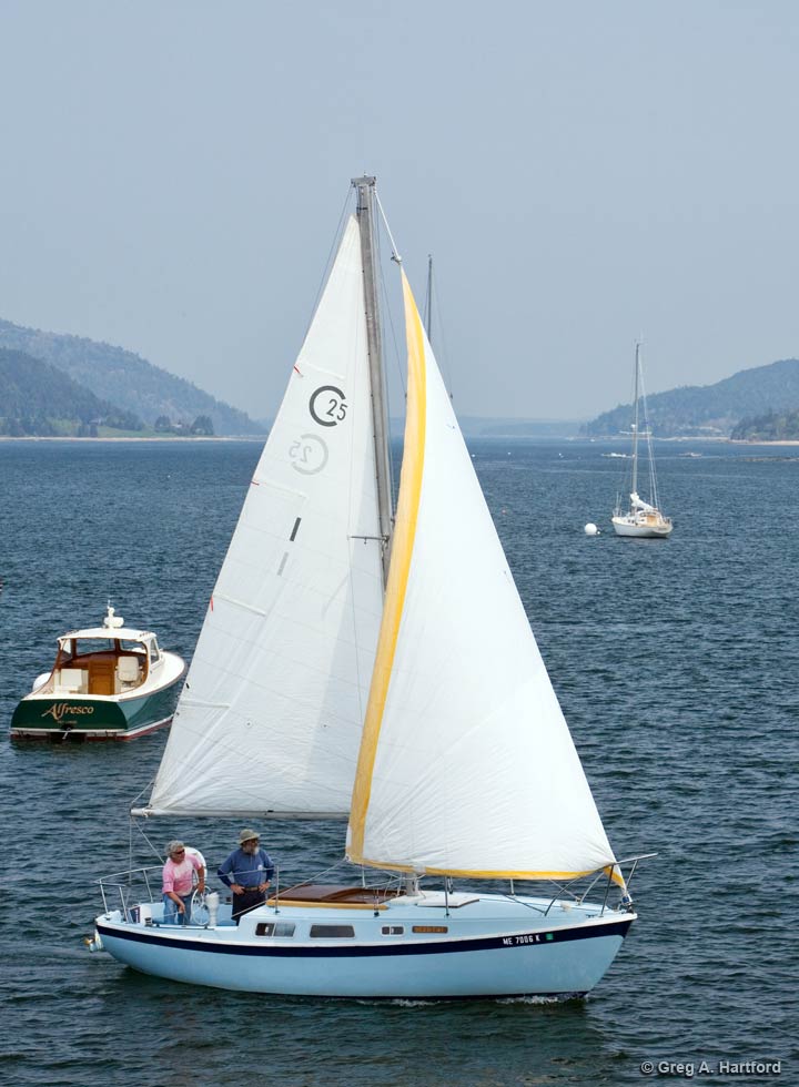 The Cal 25 foot Sceptre Sailboat Rental