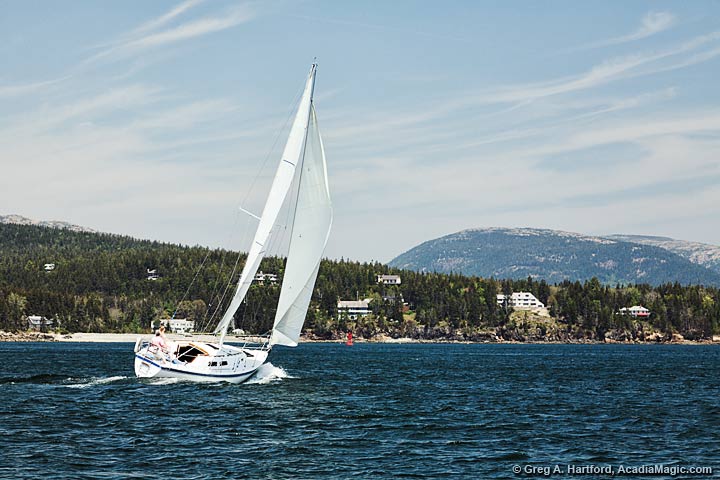 The Cal 31 foot WindDancer Sailboat Rental