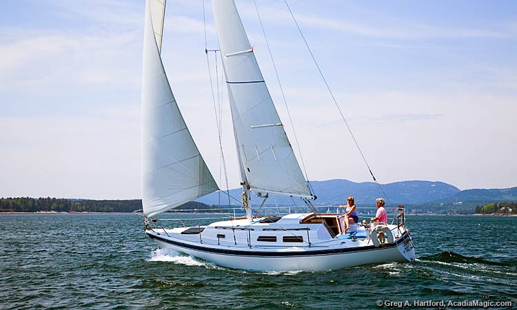 Sailboat and yacht rentals in Acadia National Park, Maine