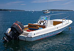 19 foot OutRage Boston Whaler